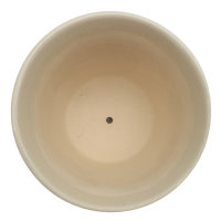 Blumentopf H: 10,6 cm, D: 14 cm mit Untersetzer